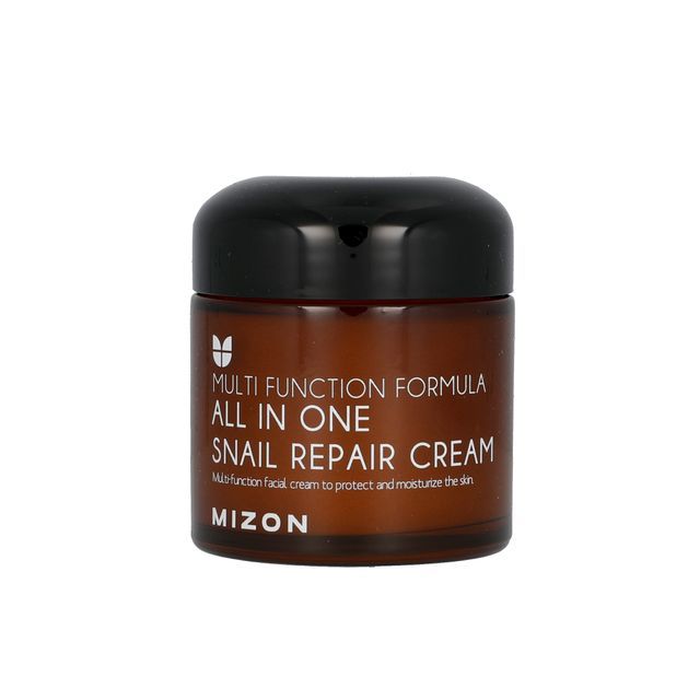 Mizon All in One Snail Repair Cream 75ml